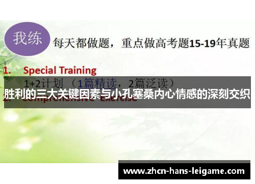 胜利的三大关键因素与小孔塞桑内心情感的深刻交织