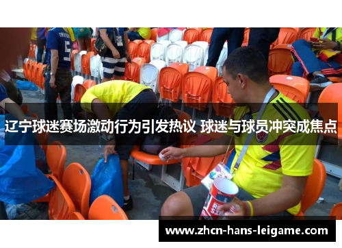 辽宁球迷赛场激动行为引发热议 球迷与球员冲突成焦点 辽宁球迷赛场激动行为引发热议 球迷与球员冲突成焦点
