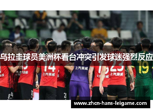 乌拉圭球员美洲杯看台冲突引发球迷强烈反应