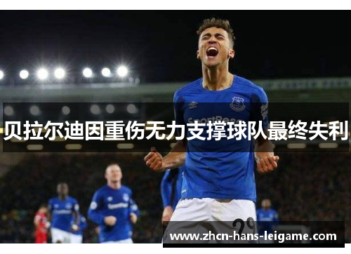 贝拉尔迪因重伤无力支撑球队最终失利 贝拉尔迪因重伤无力支撑球队最终失利