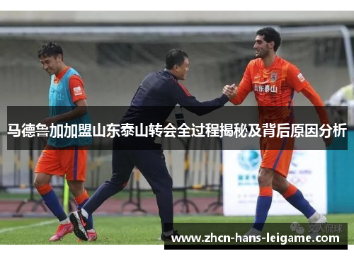 马德鲁加加盟山东泰山转会全过程揭秘及背后原因分析 马德鲁加加盟山东泰山转会全过程揭秘及背后原因分析
